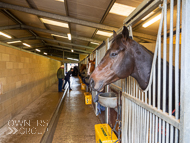 AK181121-116 - Alan King Visit